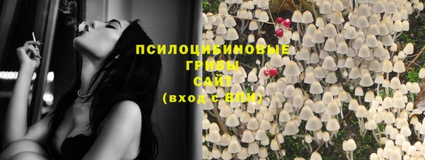 тгк Аркадак