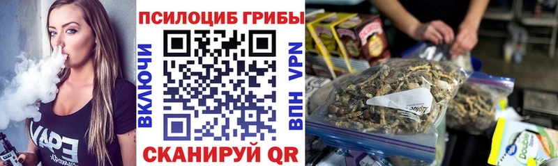 где можно купить наркотик  Биробиджан  Псилоцибиновые грибы Psilocybine cubensis 